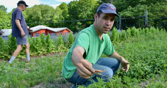 This is the default image